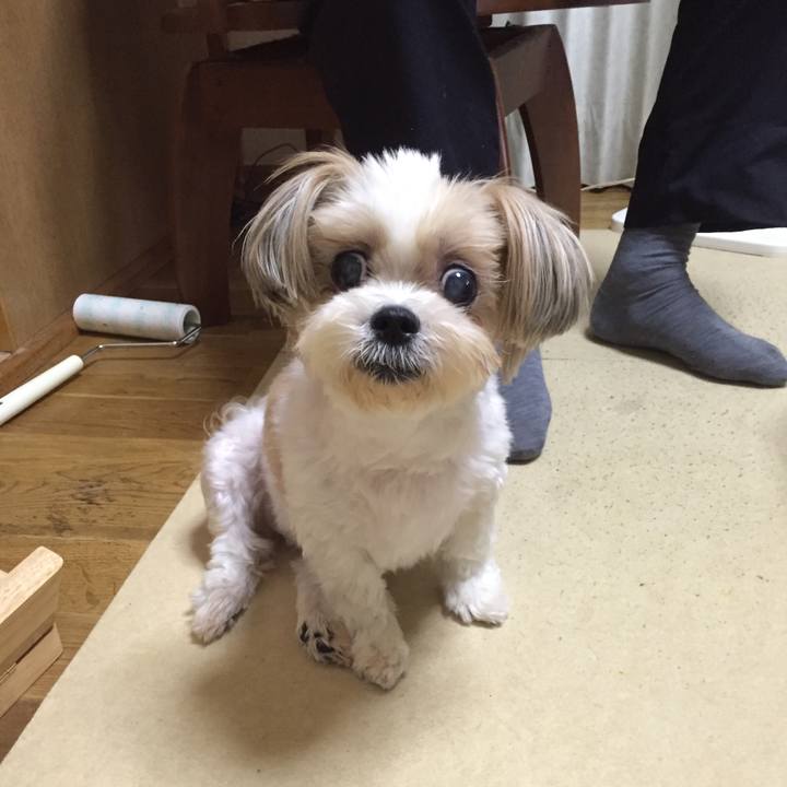 288e2f06 cb06 4d68 9cc3 6a7206ad9330