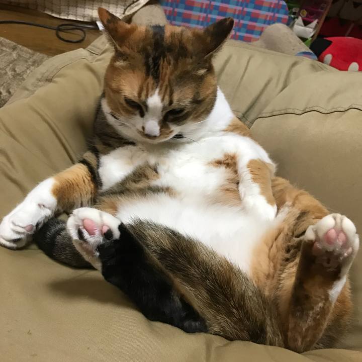 288e5fe2 4f58 4b0a b4b7 6f9483ad243e