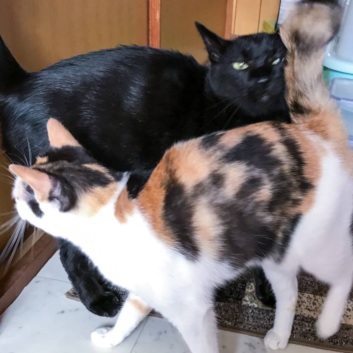 288ea5f3 98a5 4a83 918e 983412876916