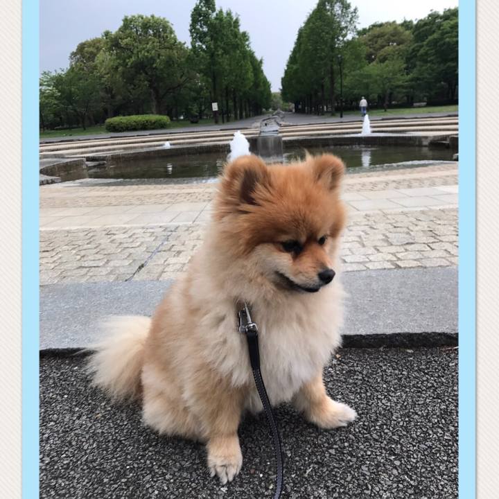 288ff784 9869 492b ab7f 8e5142ec335b