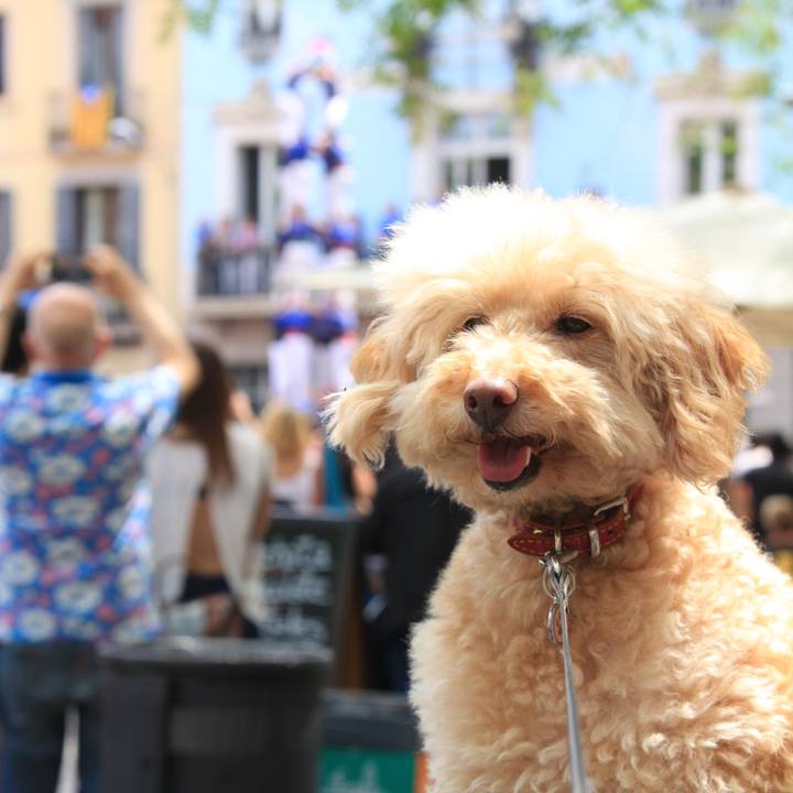 2890581f 854a 4ba8 bdc4 139a3cdd79e3