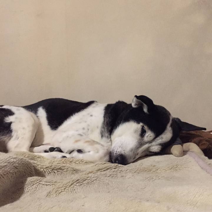 28908277 62fc 4cf8 ad75 55f5bebc77d8