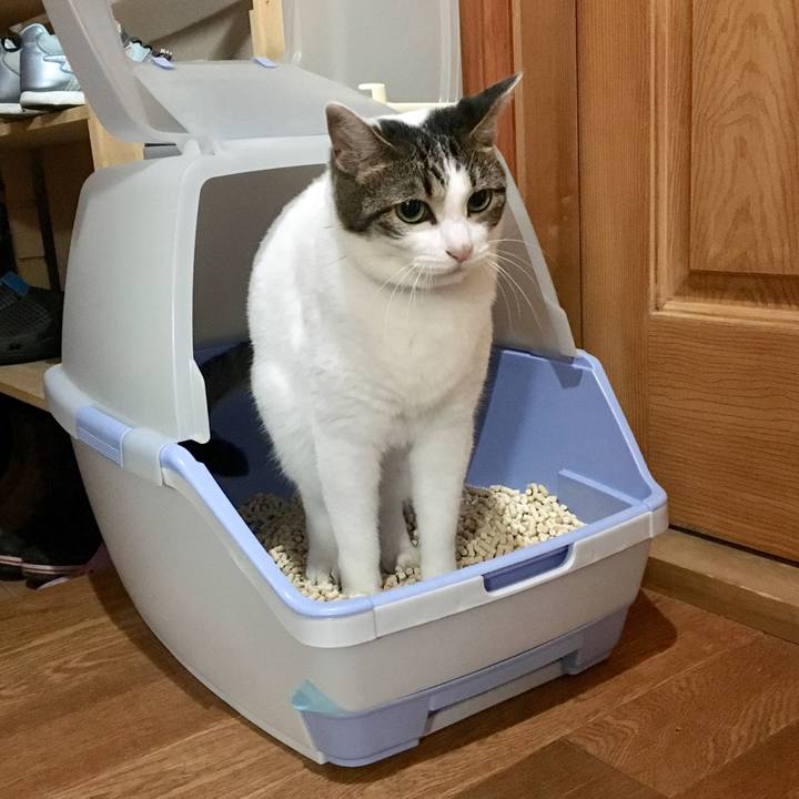 2890ad90 4592 42dc a70d 46298cae0969