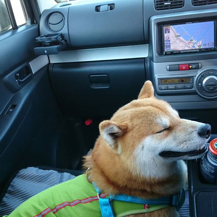 2890b22e e23d 41d6 bb17 03e7327d68a3