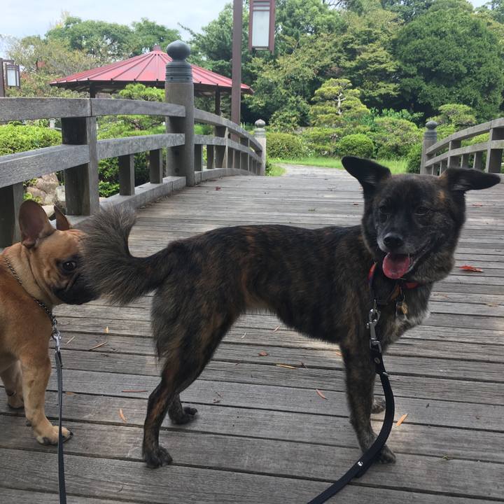 2890b556 f516 4214 a4ca 72260031c29b