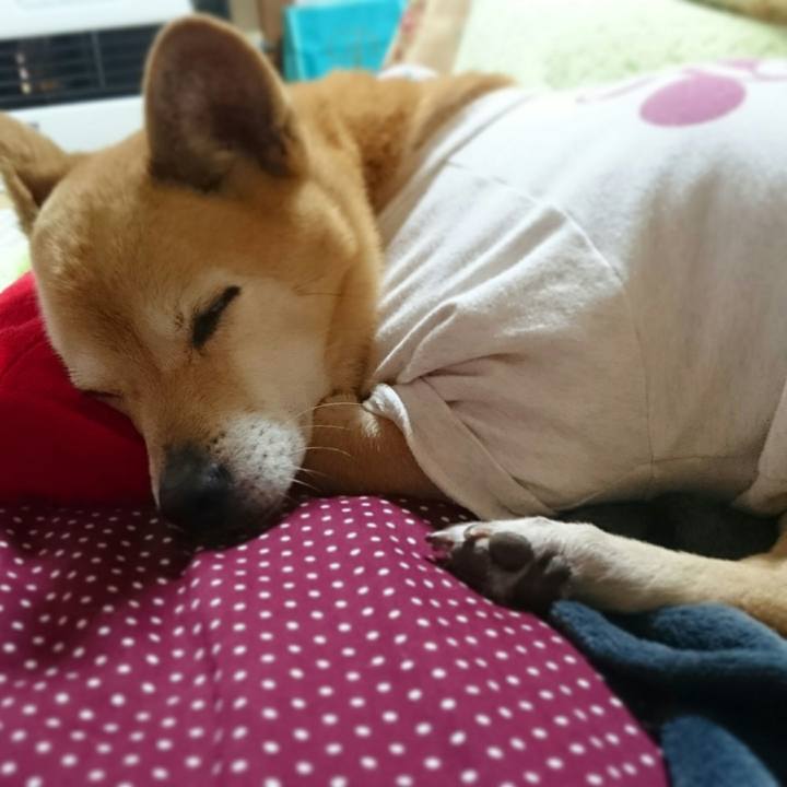 289103ba f366 4482 b76a 2e96f7de41db