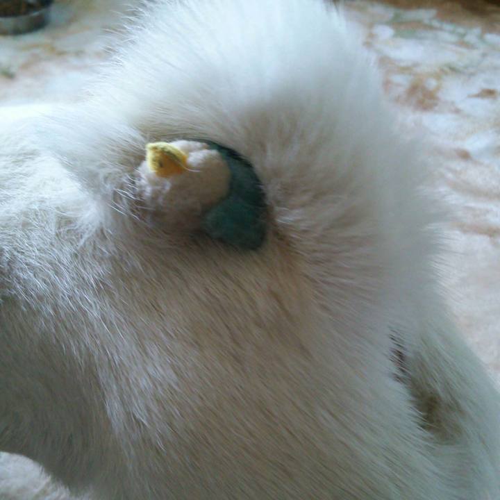 28913593 6838 4a74 8c48 b9cf239a83b6