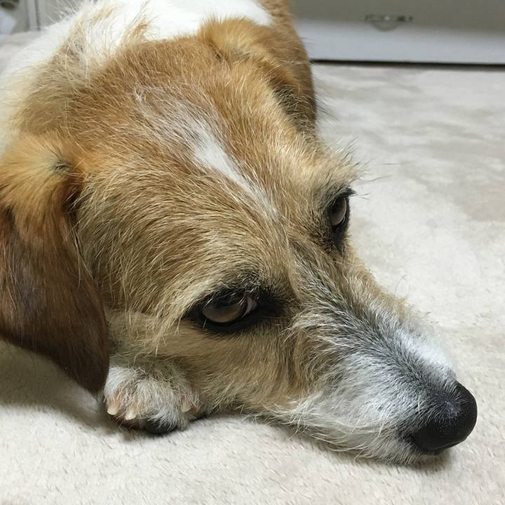 28916fa5 d702 47a8 a9c3 7bf5e7144651