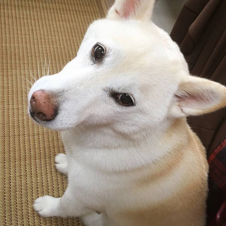 289183be 4347 4fb1 98e2 8409f16eab50