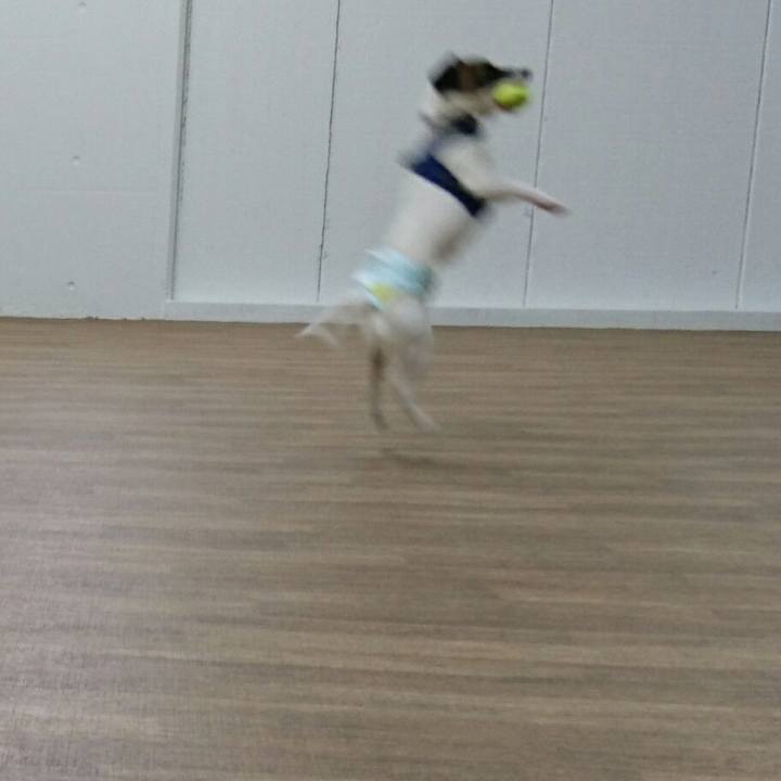 28924e33 f92d 42f6 8c6f aa4c238a6312