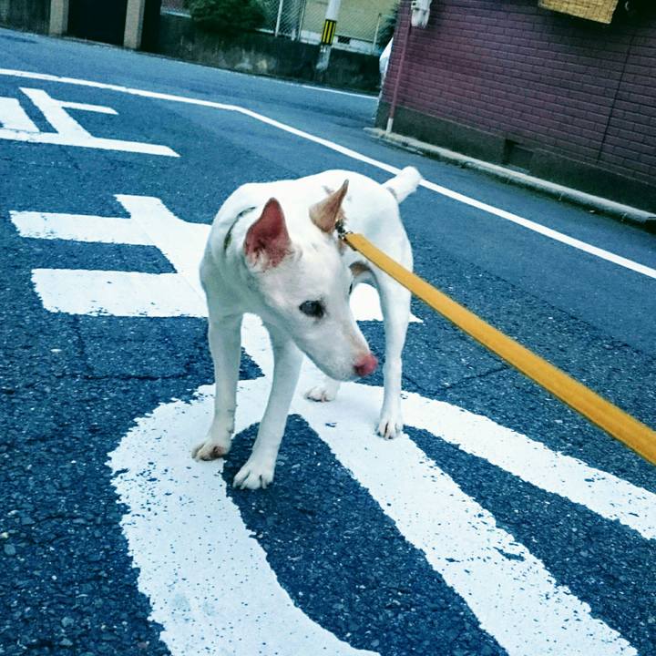 2892adac e7ba 4a39 82b3 5925e524d586