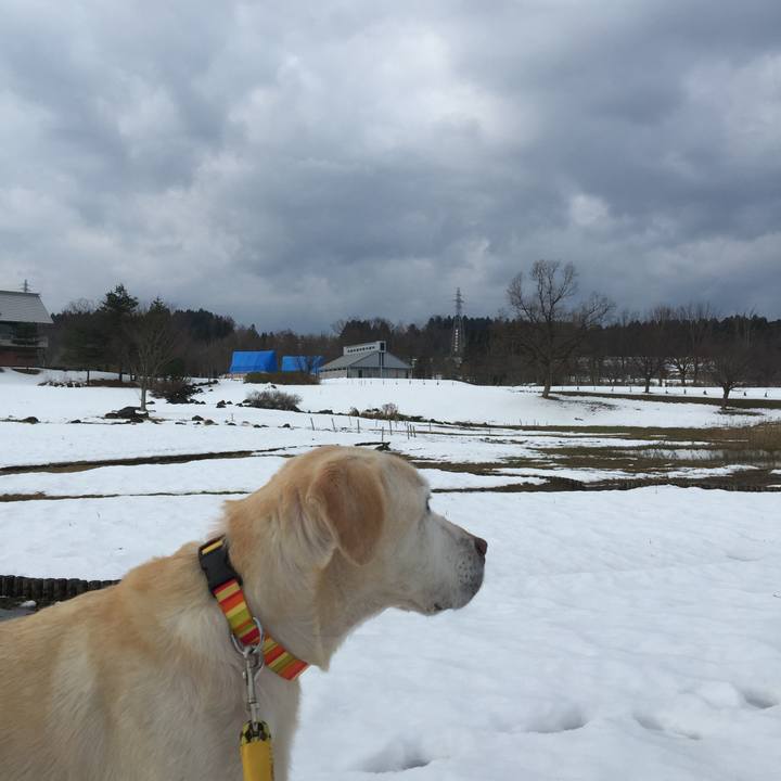 2892d1a7 4632 4552 844c a45aa0016807