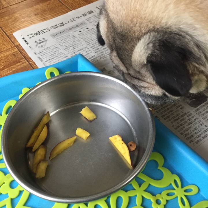 2892e086 5d08 40ef a511 8d24beaf1ae0