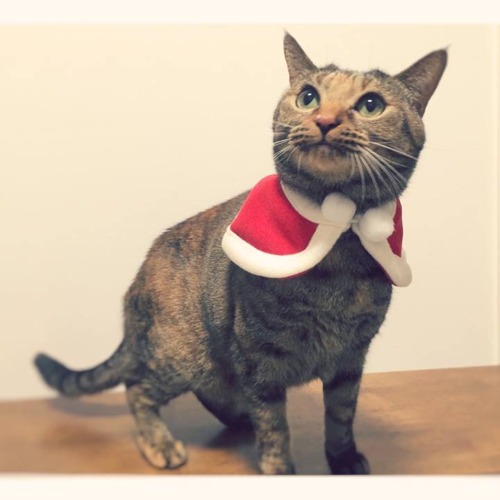 2892e225 c845 4855 9bc4 70b8fff6cfc0