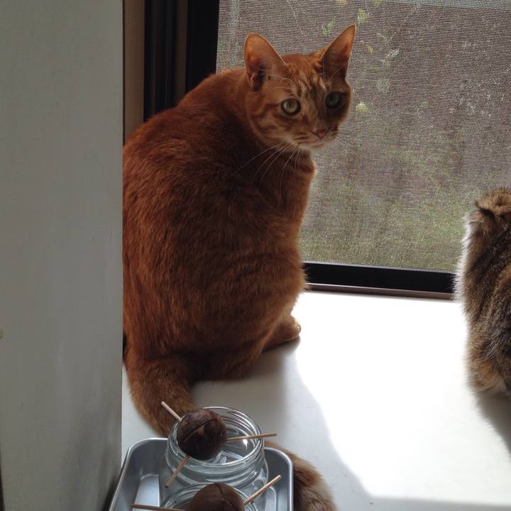 28932585 48e0 40d0 8dcd 061dec3758b5