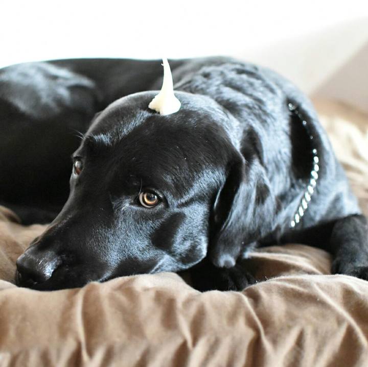 28934713 51f1 4ddf 986c 020338103669