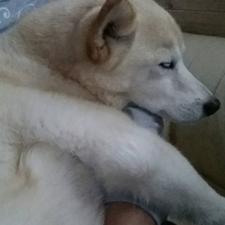 289403dd f8b0 4226 a198 46c2fcdbbb82