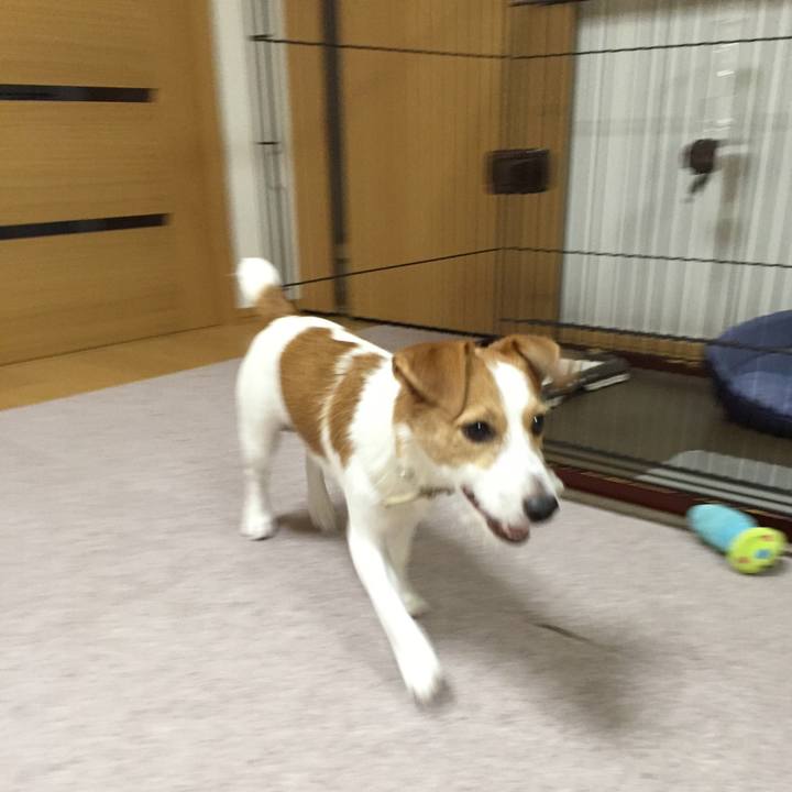 28958594 fa62 444e b8f4 d1af8a9a68cb