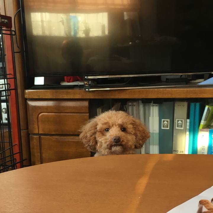 2895cec8 d8ba 407c b7a2 7fe6313d458e