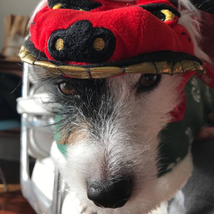 28960ad3 41f9 420f add7 a5d3418d8df4