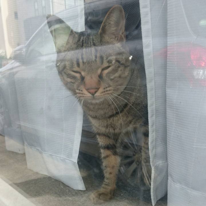 2896abf1 518f 45ea a221 7dfb49285704