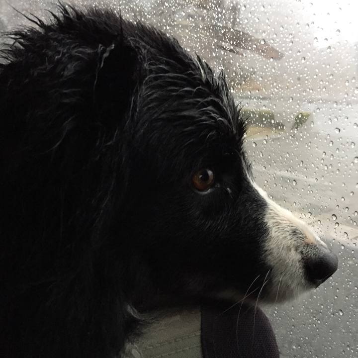 2896d8e1 9682 411c a2ae a500e676ad76