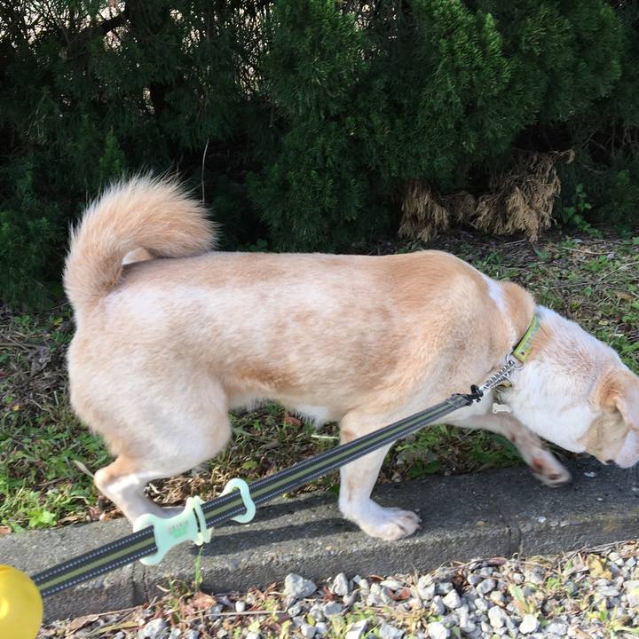 28971c91 934c 4c35 9b82 2706bd4d9157