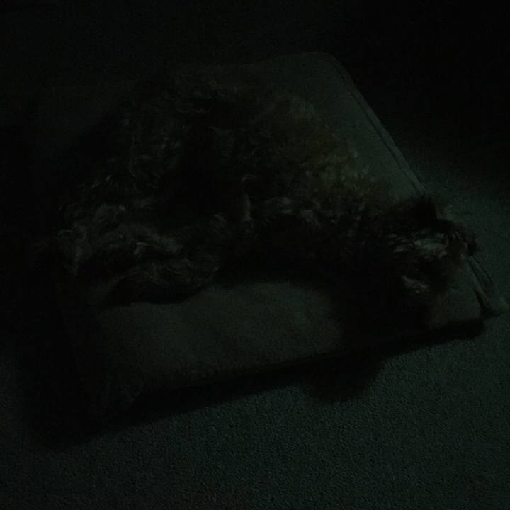 28974ae6 67c0 4fec a39b 3c2c9a438786