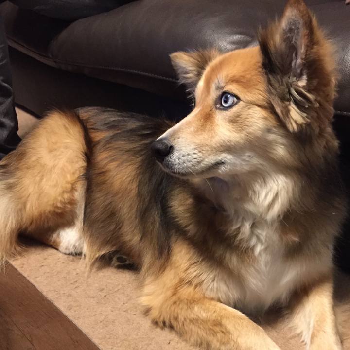 2897aac6 1dfd 4b66 a3fb 2ca970d52b23