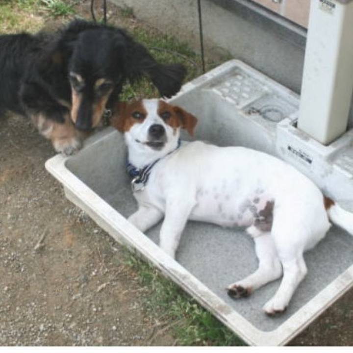 2897cad6 615b 4567 b778 9178ee3b7ef8