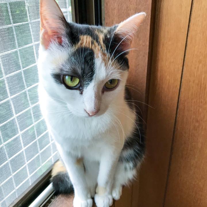 2897e832 284b 4131 99d8 ac06ed0ecb64