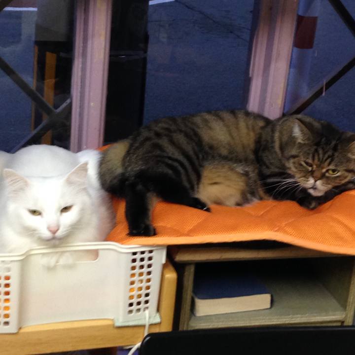 289823ed 11a9 42b3 870a 22e52507b14b