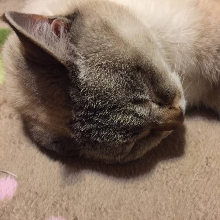 2898b11b 5702 4f37 8448 748e3a81333a