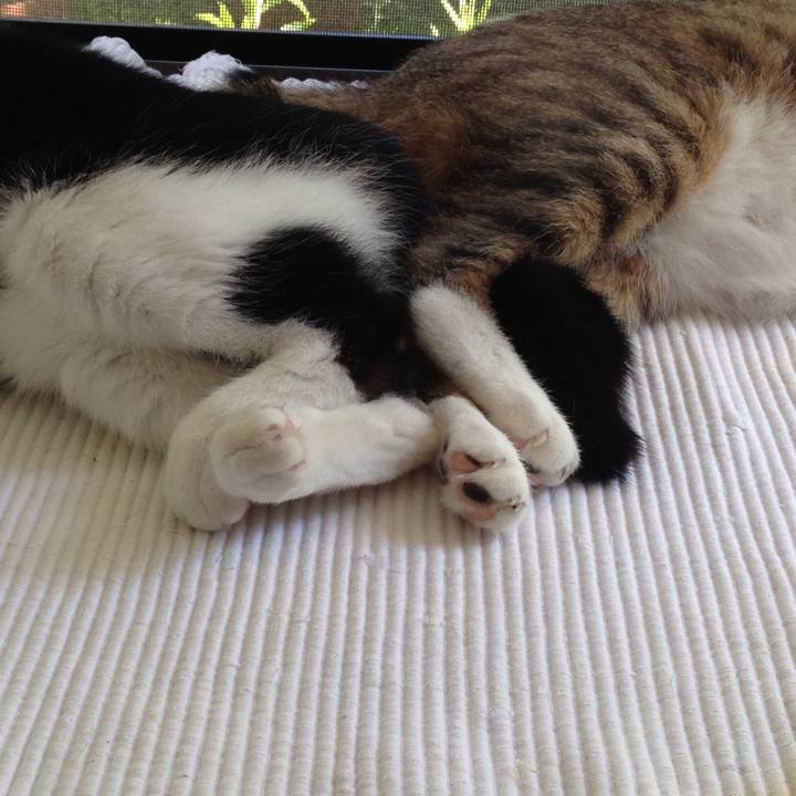 289916e0 4056 406e ad94 78a9c449054f