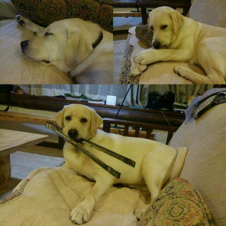 2899c8fb 78a0 4278 a800 d9a75ead64f1