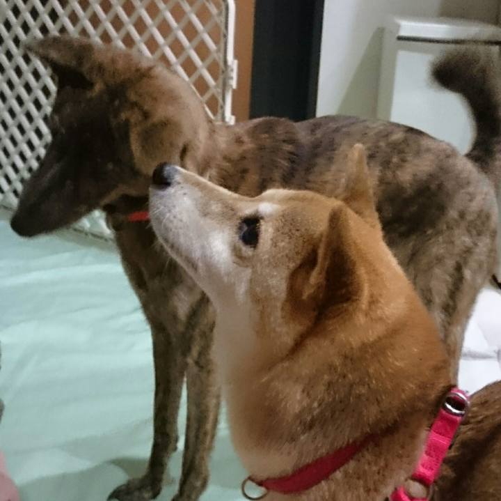 2899d9fc bdc4 48f3 b92e b8802a0c81d2