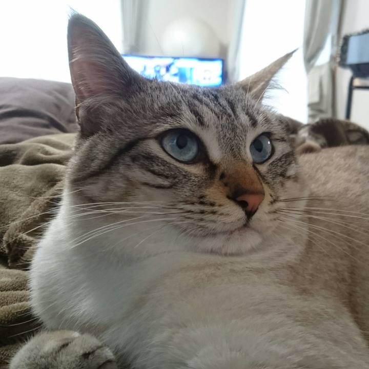 289a6280 7c2a 41be bf09 41252e824a11