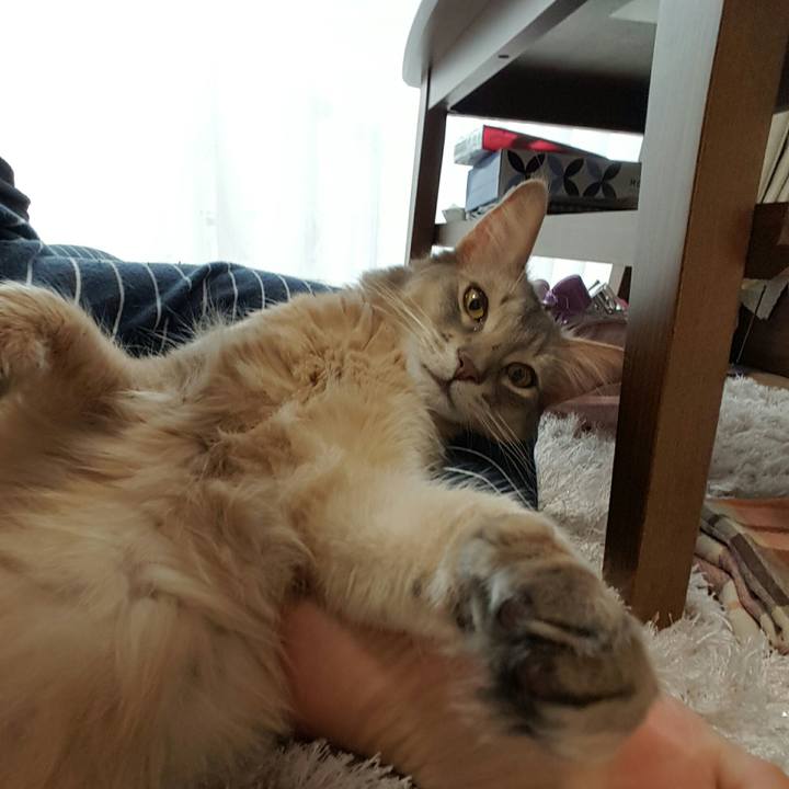 289a6da6 b61f 4400 aeb8 a5f57e093c49