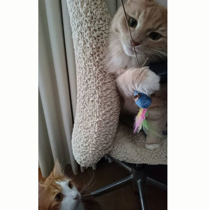 289b17d4 6b36 4df1 8462 c6739a2f8a69