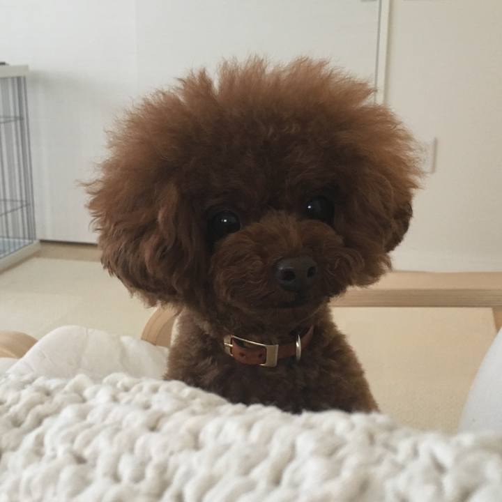 289b38cf 5532 4cfd 8b87 17d9f87aa9df