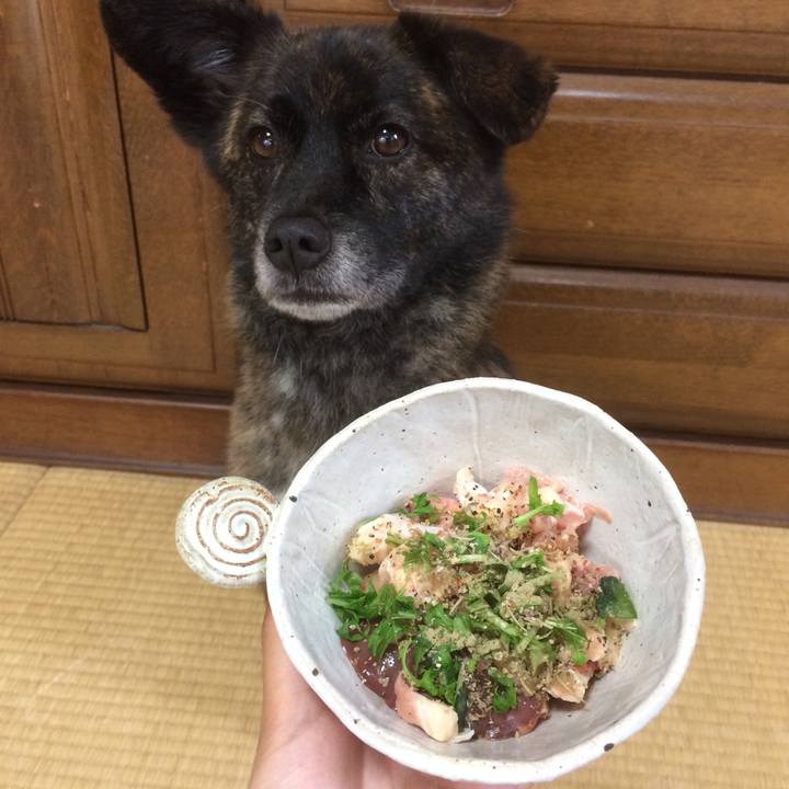 289b4ef2 71d5 4cef a469 75229e38a01a