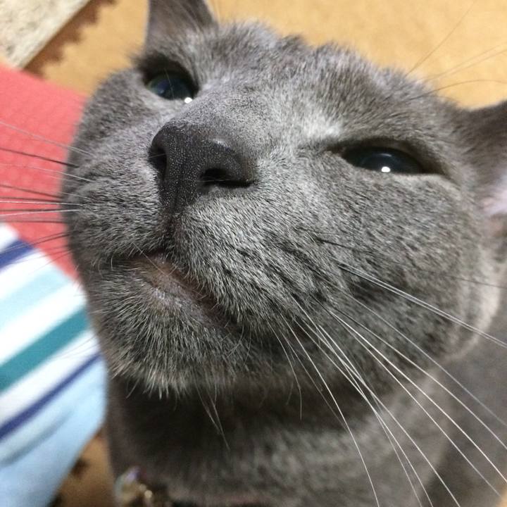 289b87db 4dc1 4d61 87e3 be7292213d04