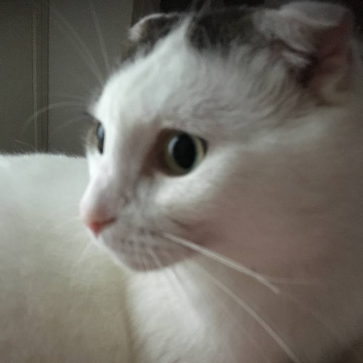 289b8ea0 33aa 475b 9f73 d745253087c1