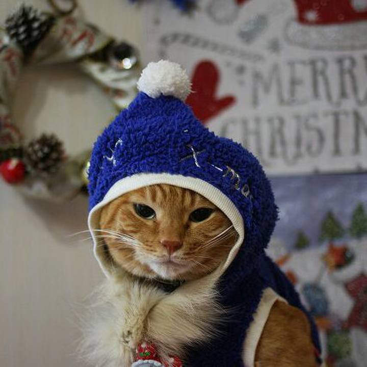 289bf2a8 2728 4765 9a26 79af49ff7f56