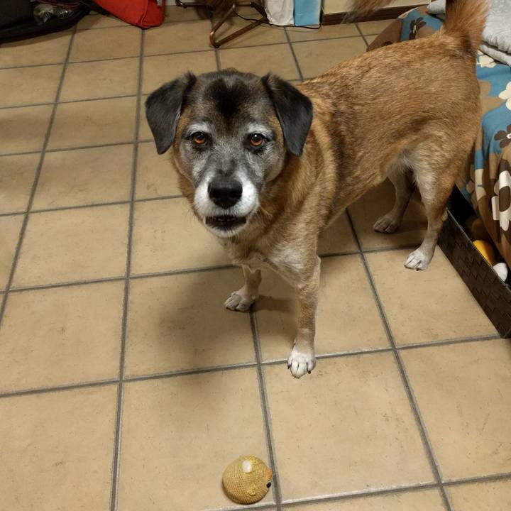 289c9f3d 6a86 43d7 a3f8 657f20259fe9