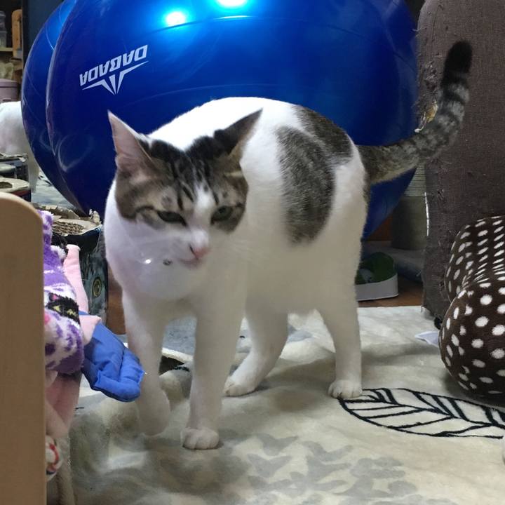 289ca1e8 e830 493d 94da 692df7b74696