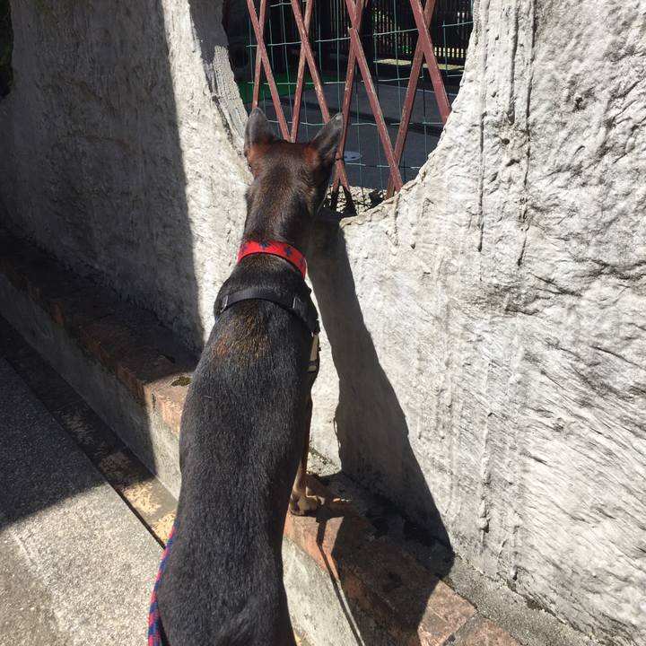 289d044a d27b 4aa1 b108 6d0e6d28d5fa