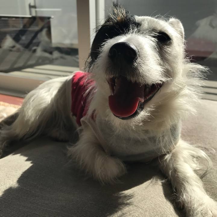 289d214e 4cab 48b4 a08f 5b27af6d1f20