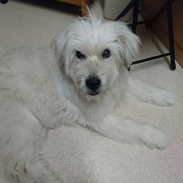 289d77ad e634 4975 ade1 dd1c748e6ada