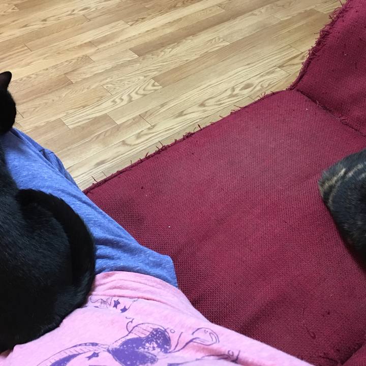 289e17e0 1032 4fe1 a118 7c710d421c73